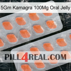 5Gm Kamagra 100Mg Oral Jelly 27